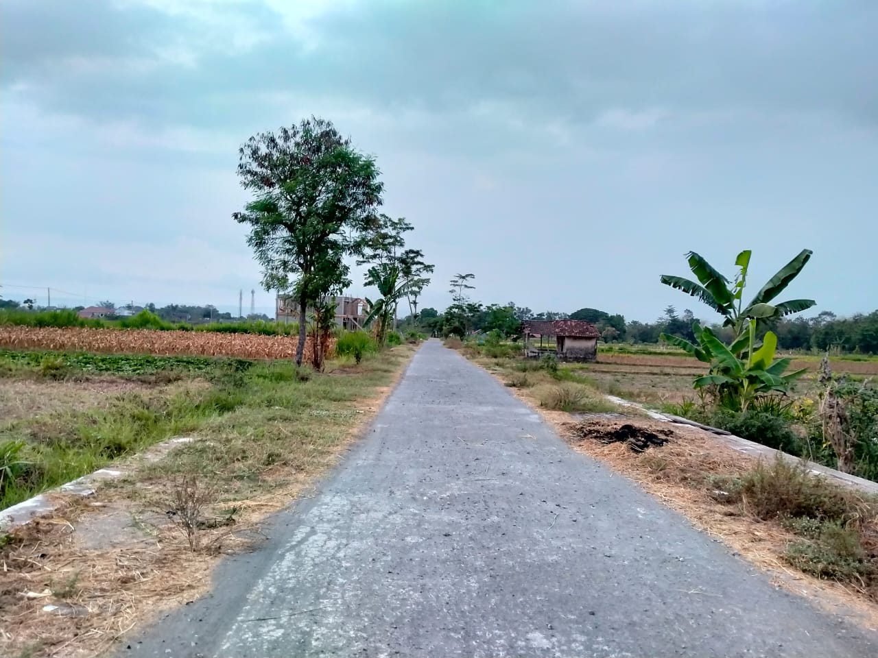 Mindful Walking #1 ; Merayakan Matahari Terbit